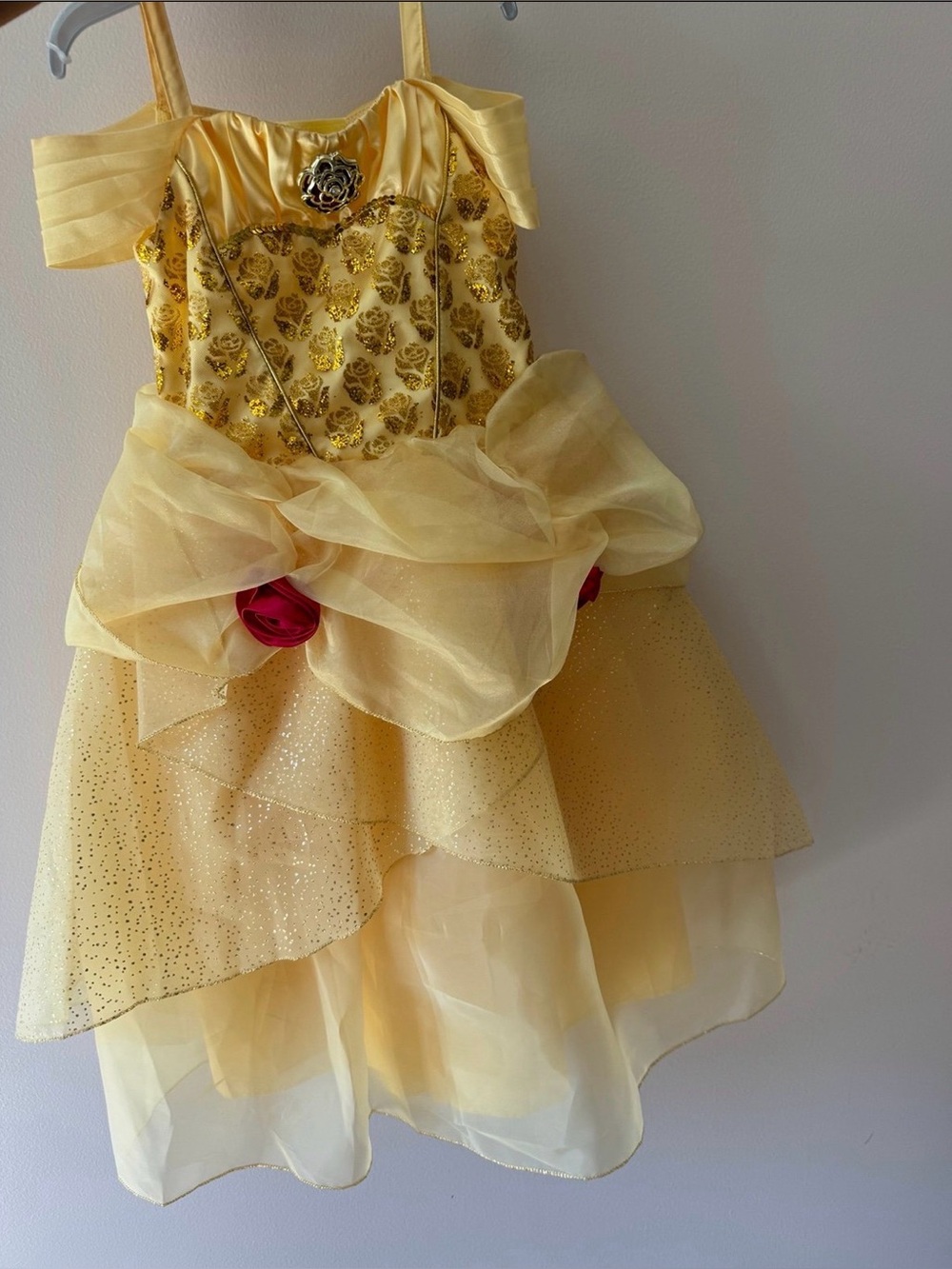 Beauty & the Beast Belle costume dress